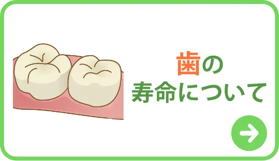 歯の寿命について